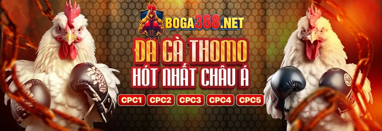 Sân đấu đá gà trực tuyến kịch tính tại mu66 liên kết vào